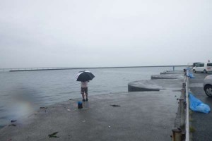 今年初の新タコゲット！